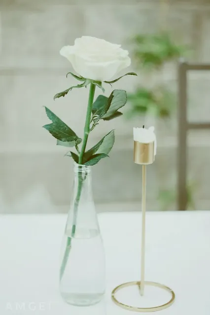 Les saisons influencent-elles vraiment la décoration de nos tables ? - AssietteGood