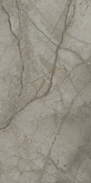 49822928896338