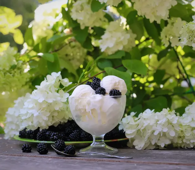 Choisissez les meilleures assiettes pour vos repas en plein air