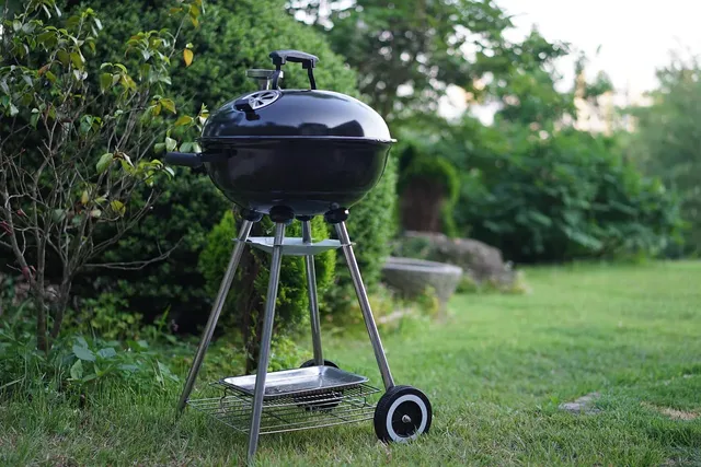 Élégance à Table  Les Assiettes pour dîners formels à ne pas manquer
